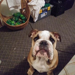 Meet your Posher, Larry